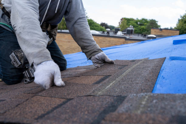 Best Roof Gutter Cleaning  in Decherd, TN