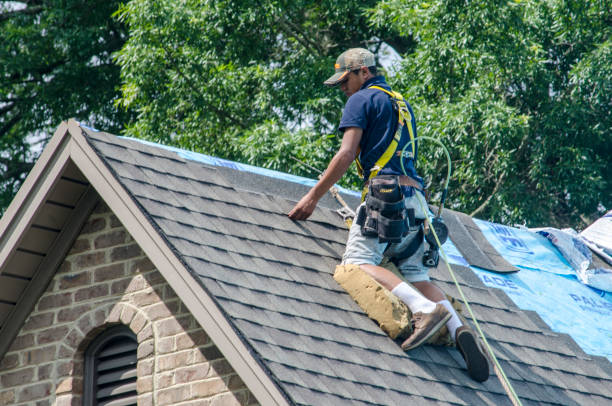 Best Emergency Roof Repair  in Decherd, TN